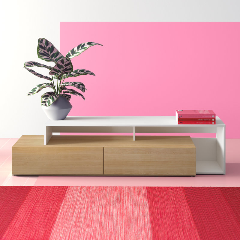 Hashtag Home Evangeline TV Stand for TVs up to 70" & Reviews Wayfair